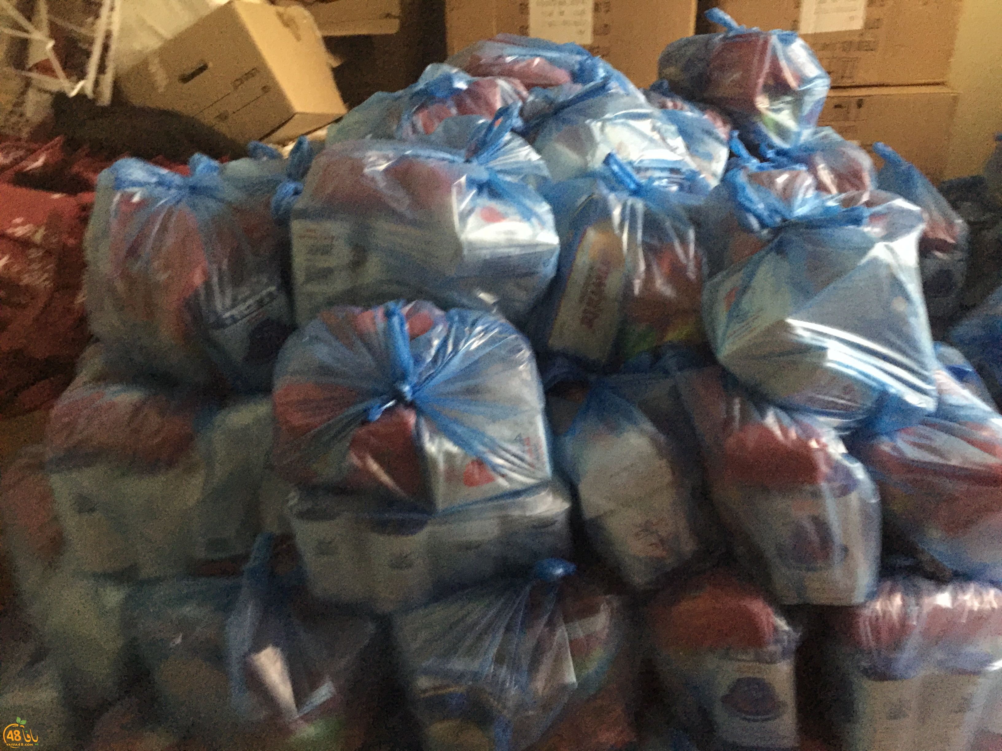 torid lud 3i984 (3).jpg